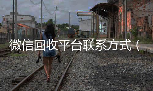 微信回收平台回收微信秒结联系方式（微信 回收）